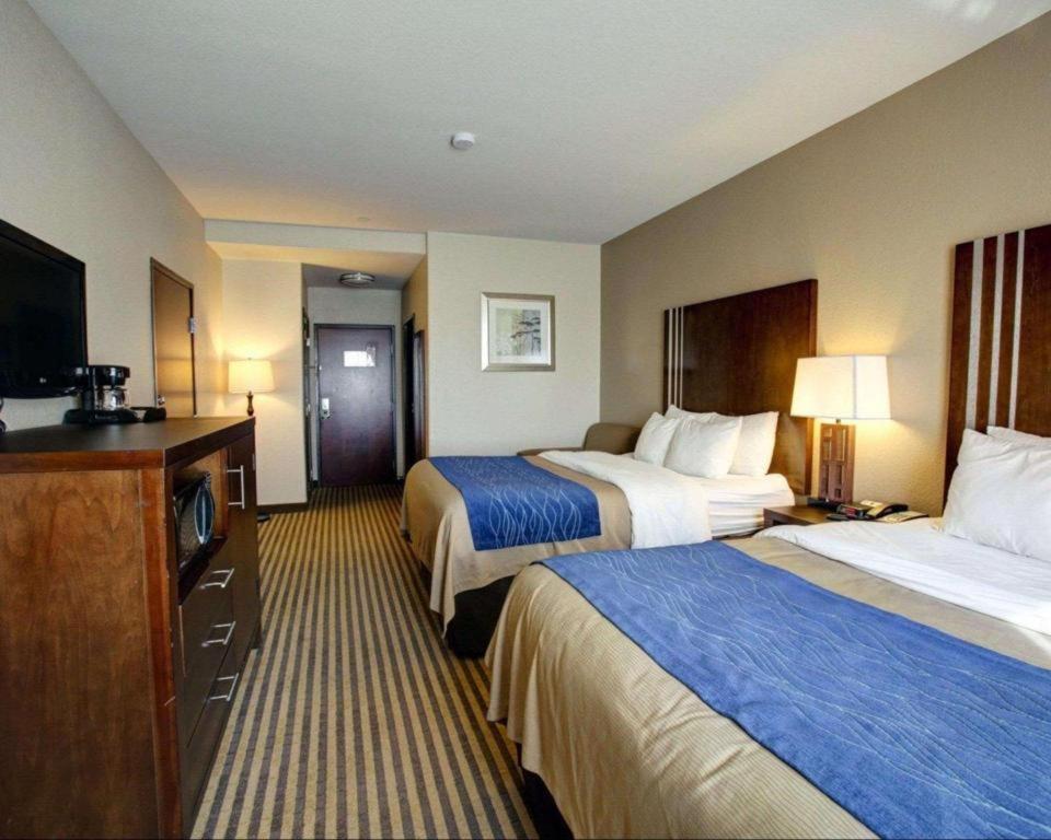 Comfort Inn & Suites Navasota Exterior foto