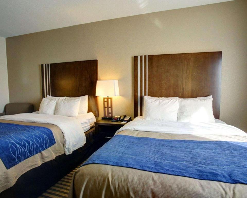 Comfort Inn & Suites Navasota Exterior foto